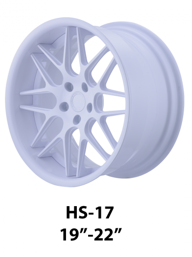 D2 Forged Wheel – HS-17
